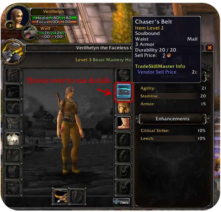 Screenshot of character gear information in World of Warcraft.