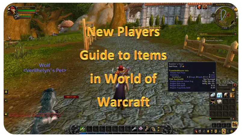 Items, Auctions, and Banks World of Warcraft (WoW) Beginner's Guide
