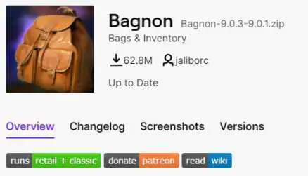 Информация об аддоне Bagnon