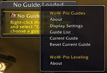 Screenshot of WoW-Pro Guides addon.