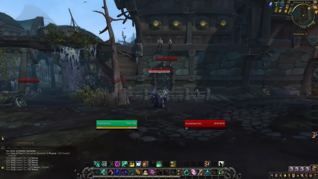 Shadowed Unit Frames WoW Addon