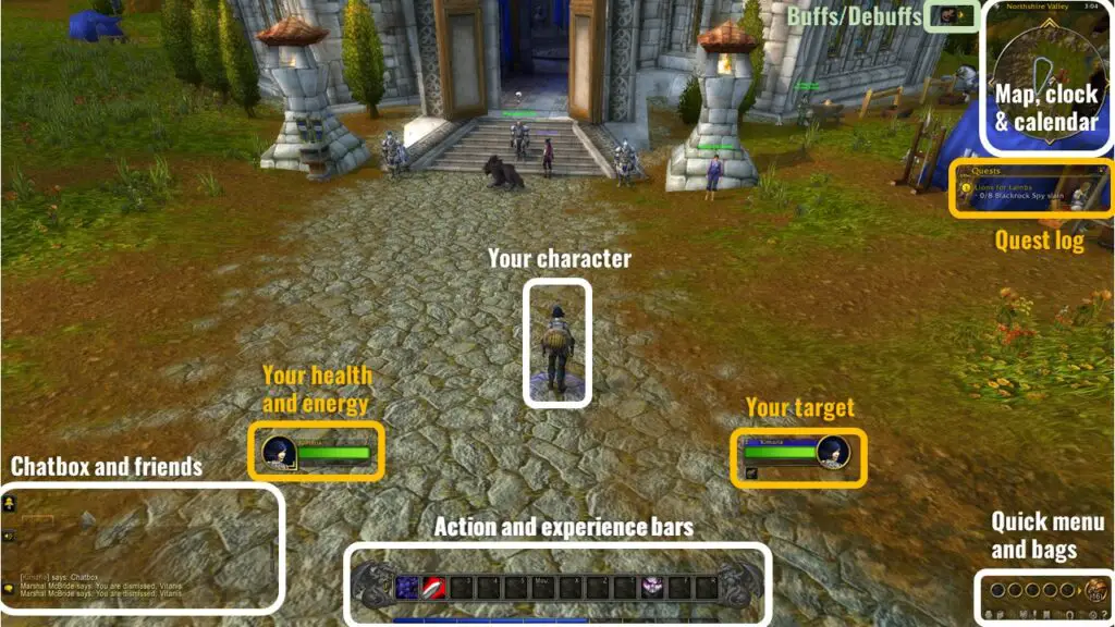 Screenshot of the user interface in World of Warcraft